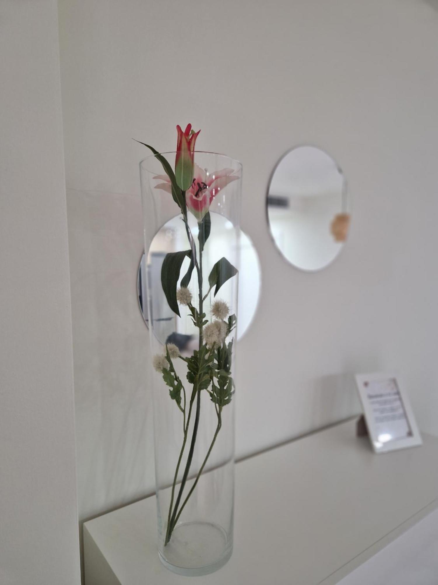 Apartamento V27 Баеса Екстер'єр фото